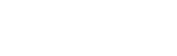 Two Fish Technology logo