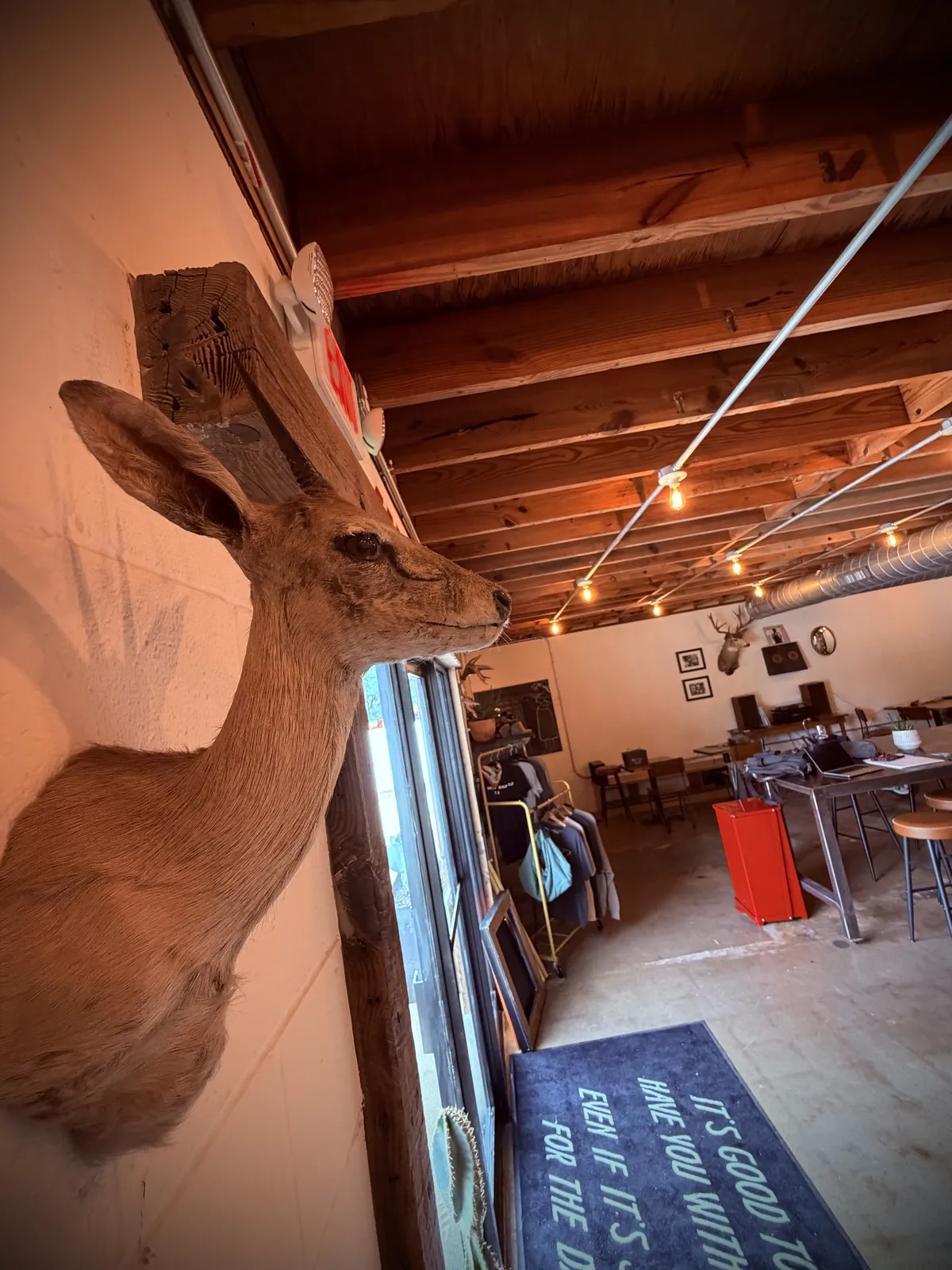Mounted deer and a Moon Wolf doormat reading It's good to have you with us.